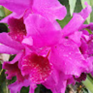 Meet your Posher, April